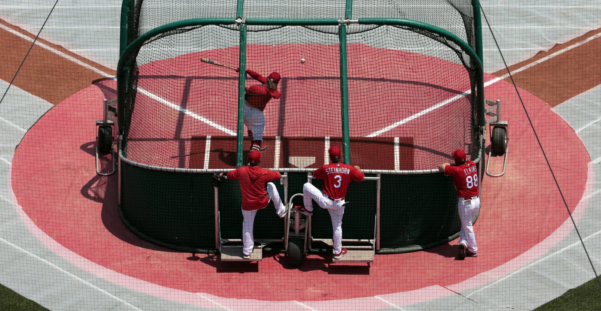 Cardinals open "Summer Camp"